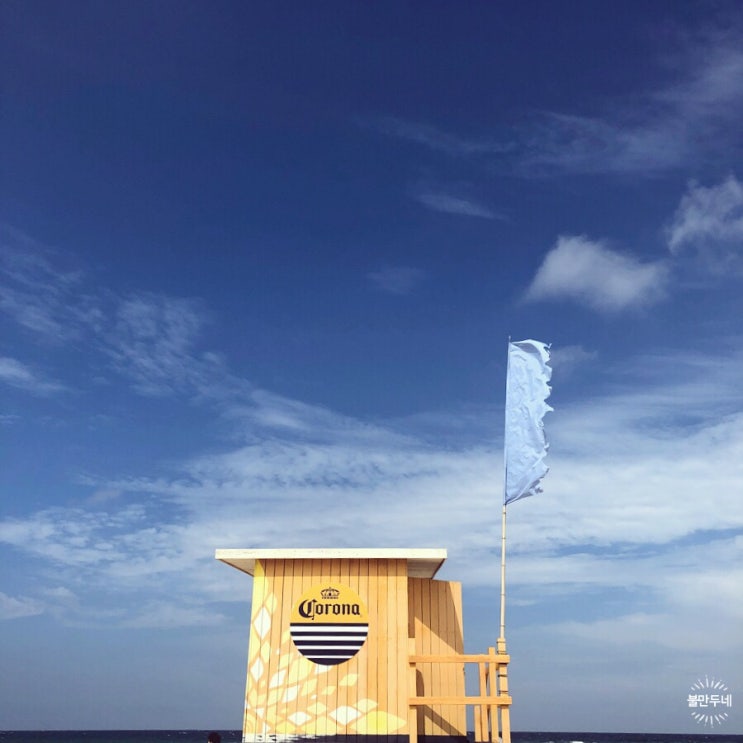  #속초여행 | 해변 : 서피비치_SURFY BEACH