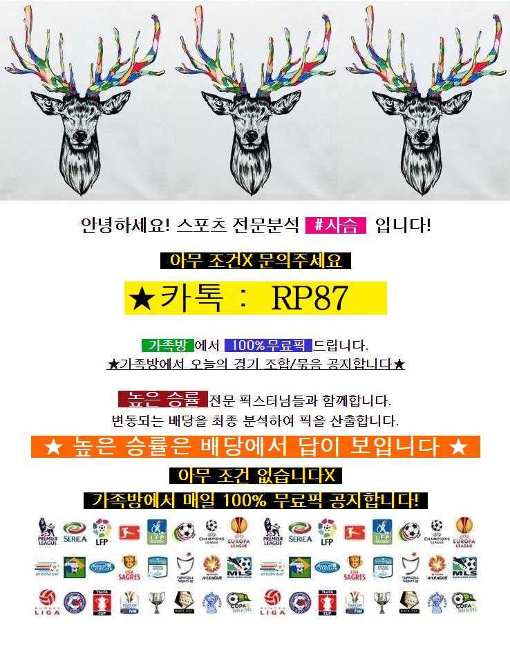  [수록] 5월1일 토트넘 홋스퍼 FC : AFC 아약스