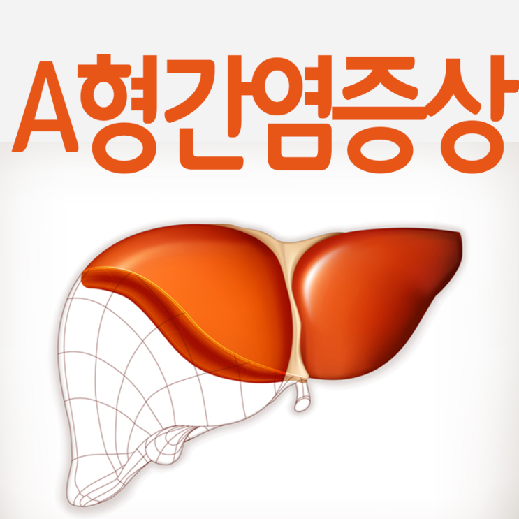 A형 간염 증상 어떤것들이 있을까요?