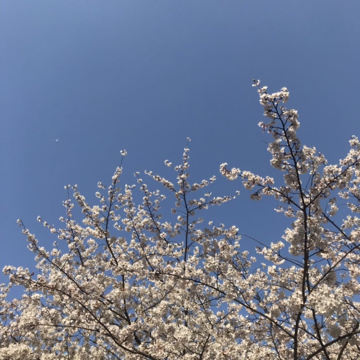  2019年 4月