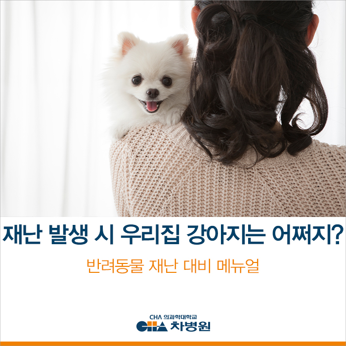  갑작스러운 재난 발생, 우리집 강아지는 어떡하지? - 반려동물 재난 대비 매뉴얼