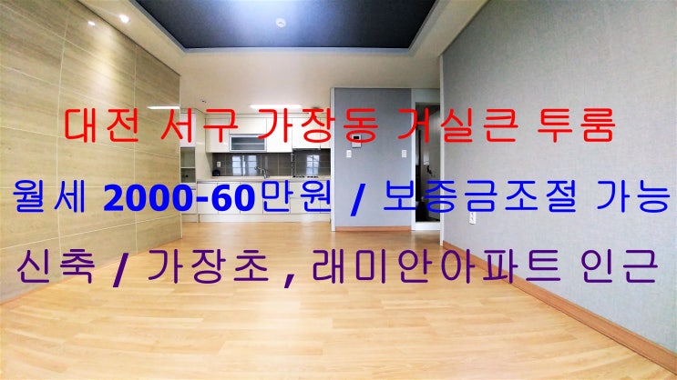  대전 서구 가장동 신축 거실큰 투룸 월세 / 보증금 조절 가능 (가장초등학교 , 래미안아파트 인근)