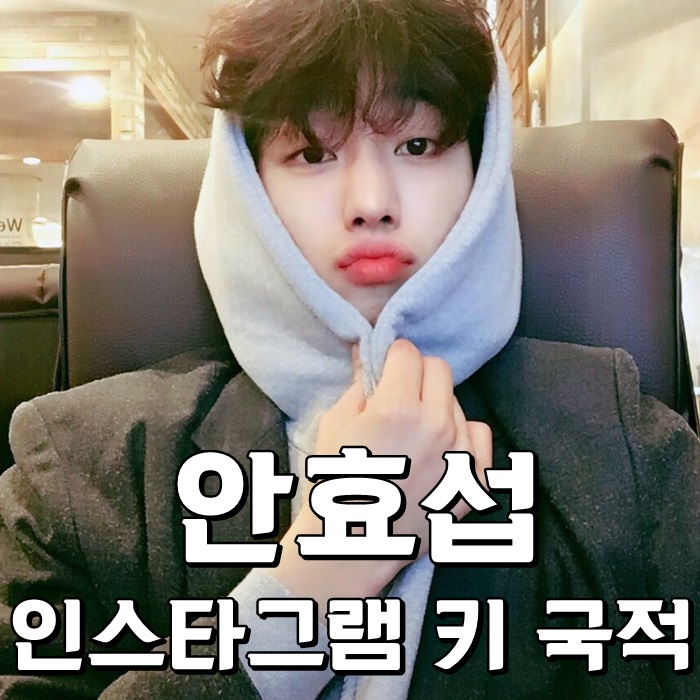  안효섭 인스타그램 키 국적 원오원 훈훈