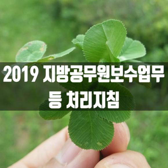  2019 지방공무원보수업무 등 처리지침
