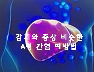  감기와 증상 비슷한 A형 간염 예방법