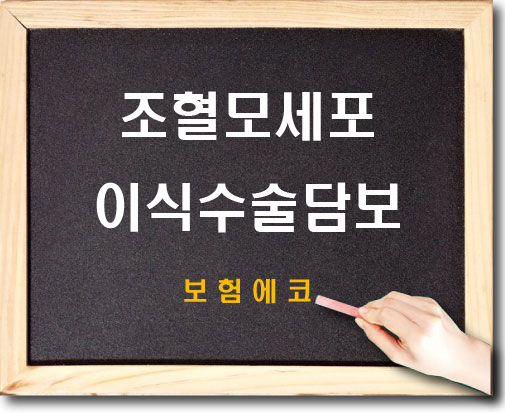  태아보험의 조혈모세포이식수술 알아보기