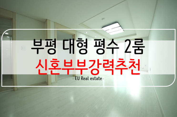  구해줘홈즈부평 2탄 , 부평역신혼부부2룸 대형평수 아파트구조 대박