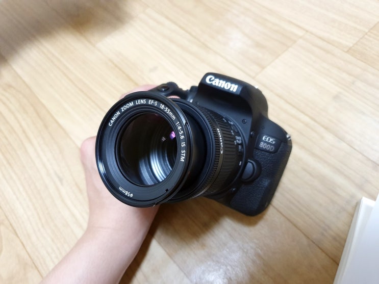 캐논 EOS 800D 입문용 카메라 DSLR 추천