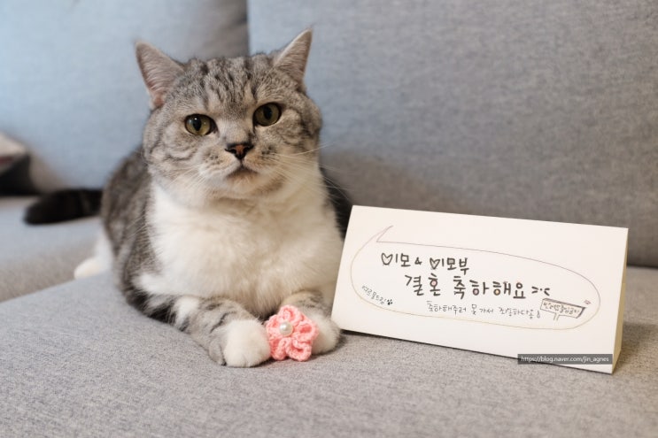  2019 새해~Apr. 일기는 밀려야 제 맛