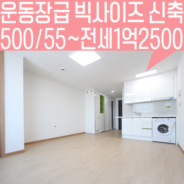  가산동원룸 빅사이즈 오피스텔원룸의여왕 강추