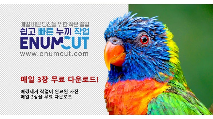  [ 이넘컷 : 2.2.2 버전 패치 ]