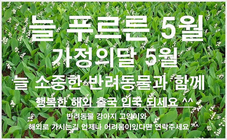  [필리핀강아지검역 출국 운송]필리핀세부 강아지 고양이 반려견출국하기 운송사례 feat 강아지 수입허가=TAX 접종