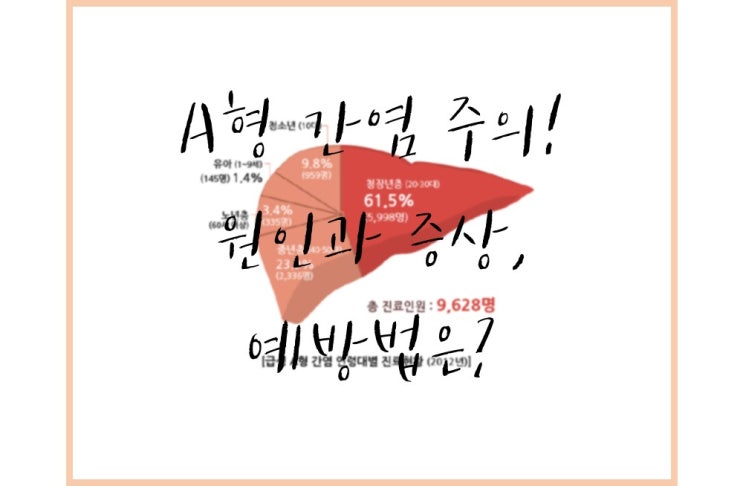  [긴급] 전염성 높은 a형 간염 주의! 원인과 증상, 예방법!