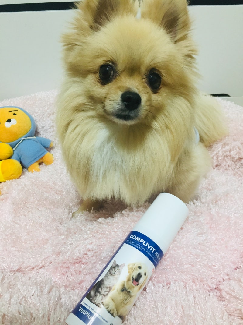 #강아지종합영양제 - 고양이도 함께 먹는 벳플러스 콤플리비트 VetPlus Complivit 150g Bottle