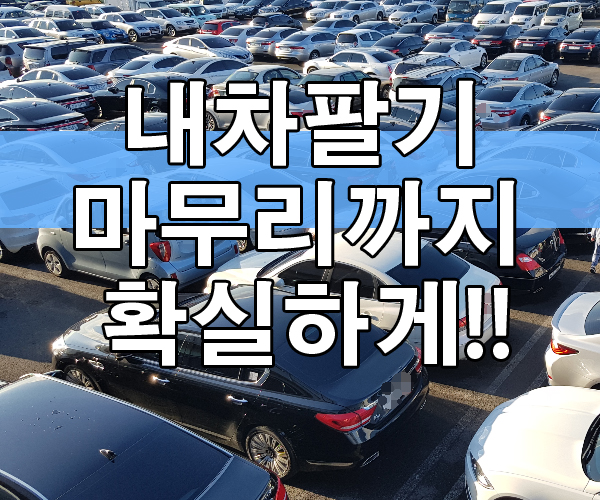  중고차판매시세 믿을만한 곳! 여기!