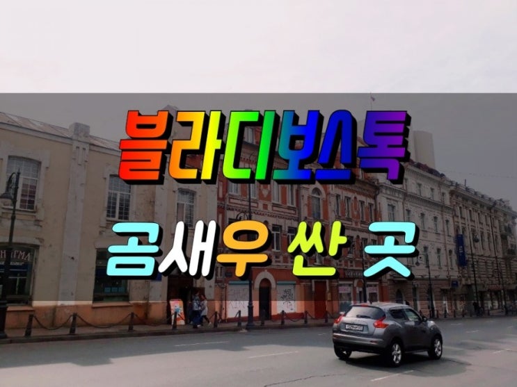  블라디보스톡 곰새우 대게 싼 곳, 싸게 먹는 방법