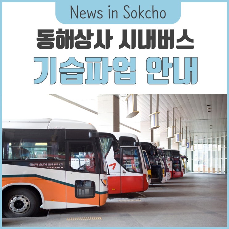  <<동해상사 시내버스 기습파업 안내>>