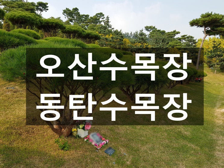  오산수목장&동탄수목장 좋은곳 추천해 주세요~