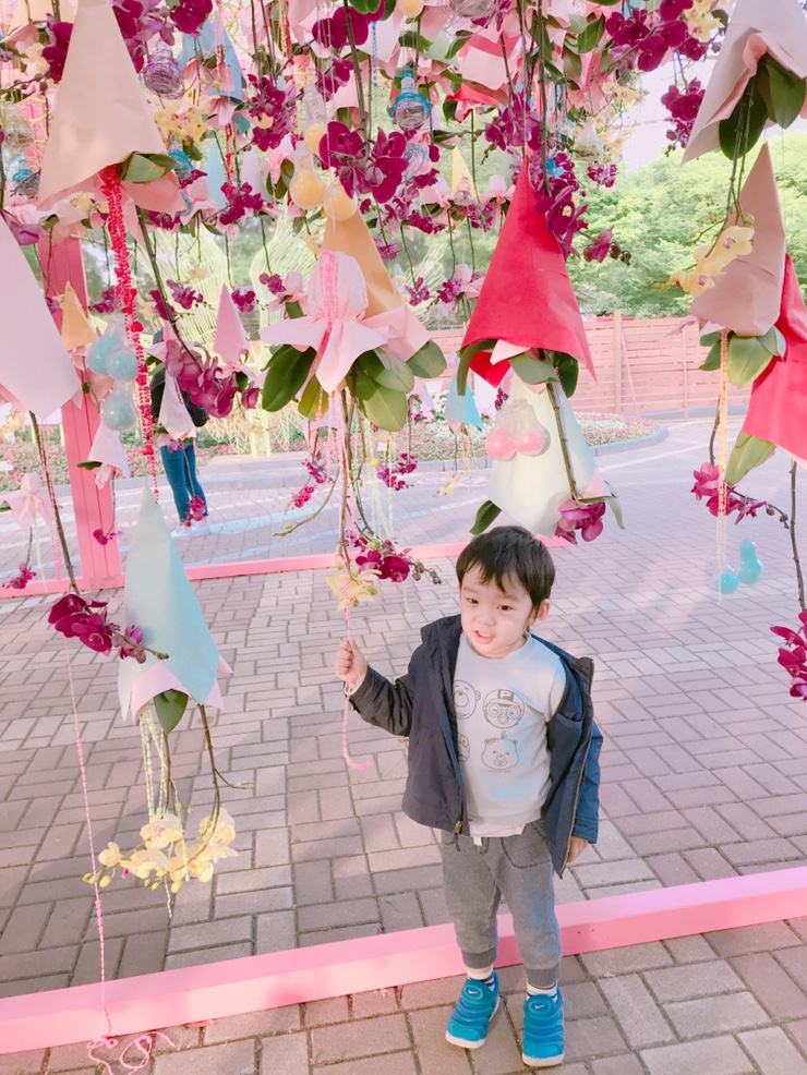  어린이날 갈만한 곳! 2019고양국제꽃박람회 또니와 함께 다녀왔어요~!