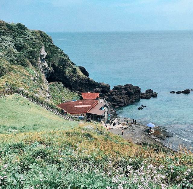  제주도 항공권 특가로 땡처리 가격 다녀왔솹!!