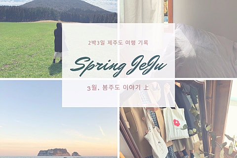 금능630하우스 이미지