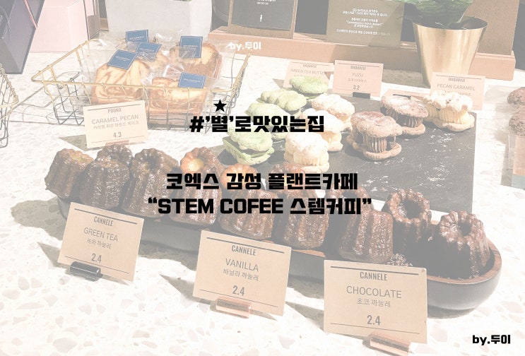 삼성역 코엑스 감성 플랜트카페 '스템 커피' STEM COFFEE 솔직후기