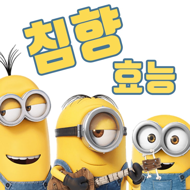  침향 효능 :: 이젠 확실하게 알고 먹자구요!!