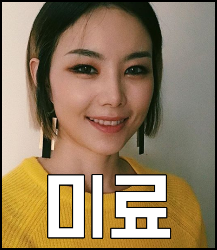  브아걸 미료 나이 키 과거사진 예뻤어