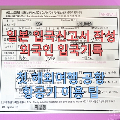  일본 입국신고서 작성 (일본 외국인 입국기록)- 처음 일본 여행 준비 팁