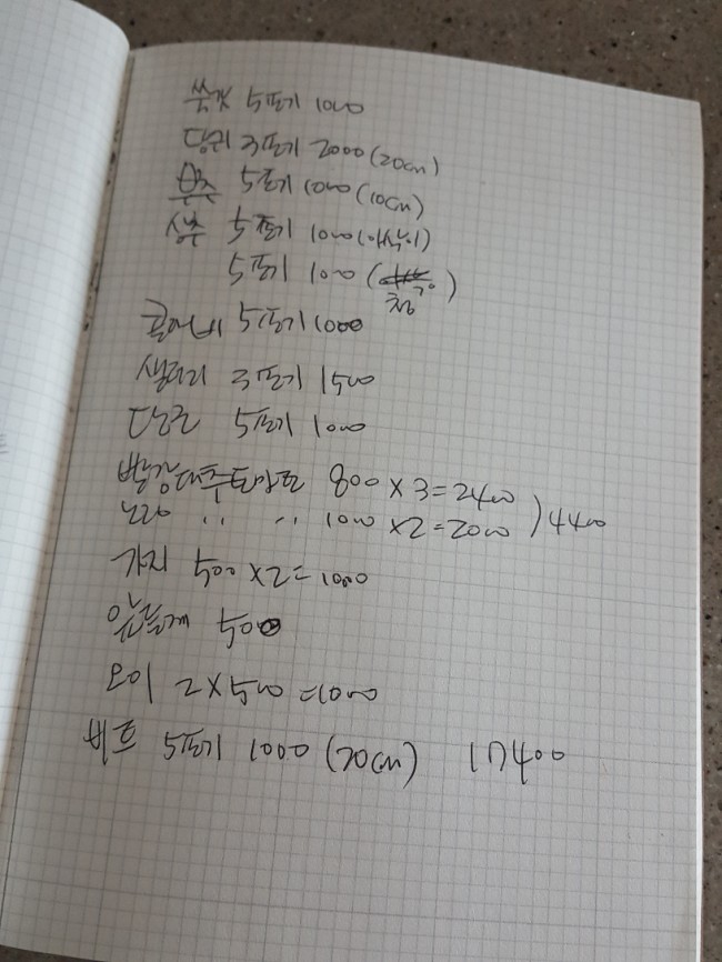  텃밭모종심기