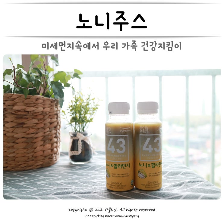  노니주스 미세먼지 속 우리가족의 건강을 부탁해