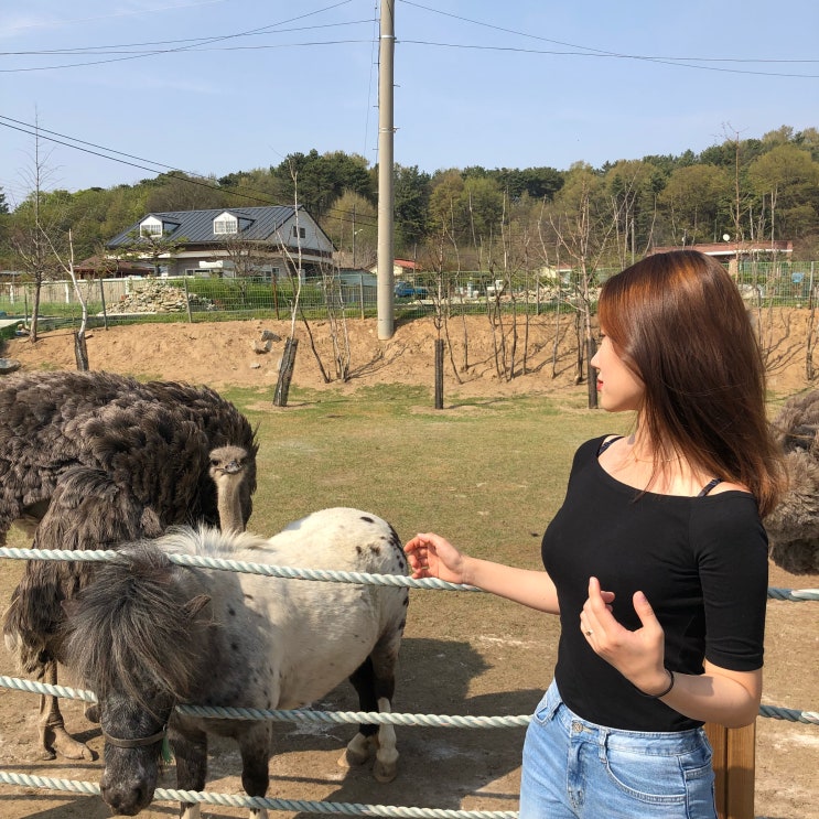  대전 근교 당일치기 여행지 : 익산 당일치기 : 익산 데이트 코스 : 대전 근교 데이트 코스 : 익산 교도소 세트장 : 익산 액션 하우스 : 익산 풍성제과 : 익산 우리 분식