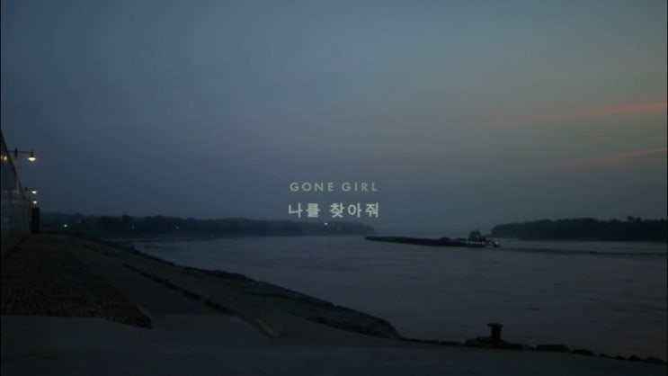 나를 찾아줘(Gone Girl, 2014)