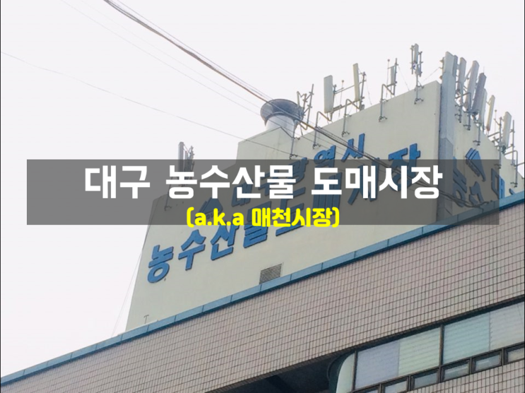 대구 농수산물 도매시장