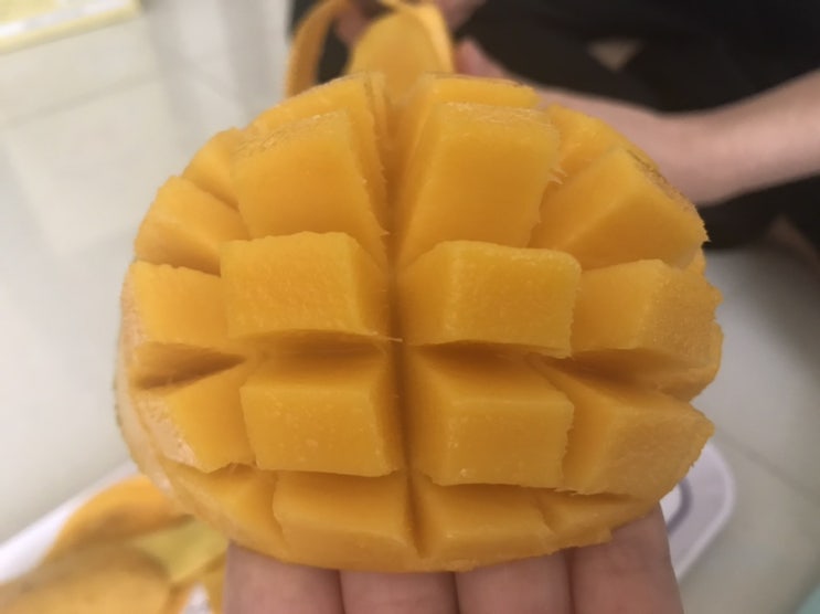  [비엣남 2019] 지금은 가족여행 중, 호찌민 돌아보기