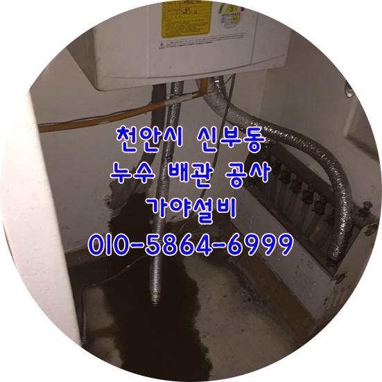  천안 동남구 신부동 OO빌 누수탐지 아랫층천장누수 누수검사 배관누수수리 천안누수