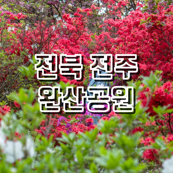전주 봄꽃 여행지 겹벚꽃과 철쭉이 가득한 완산공원