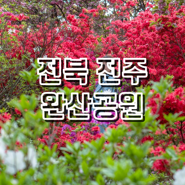  전주 봄꽃 여행지 겹벚꽃과 철쭉이 가득한 완산공원