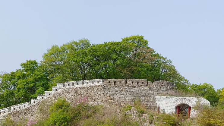 오늘 현재 5월 1일 남한산성 야생화 탐사