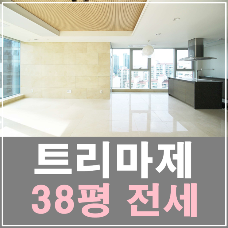 서울숲트리마제 38평 전세 이 금액 실화입니까?!