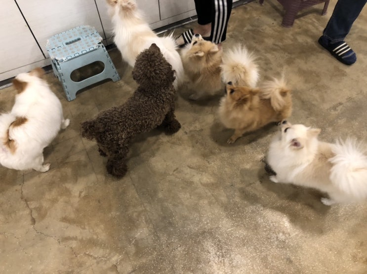  인싸 라이프 간접 체험