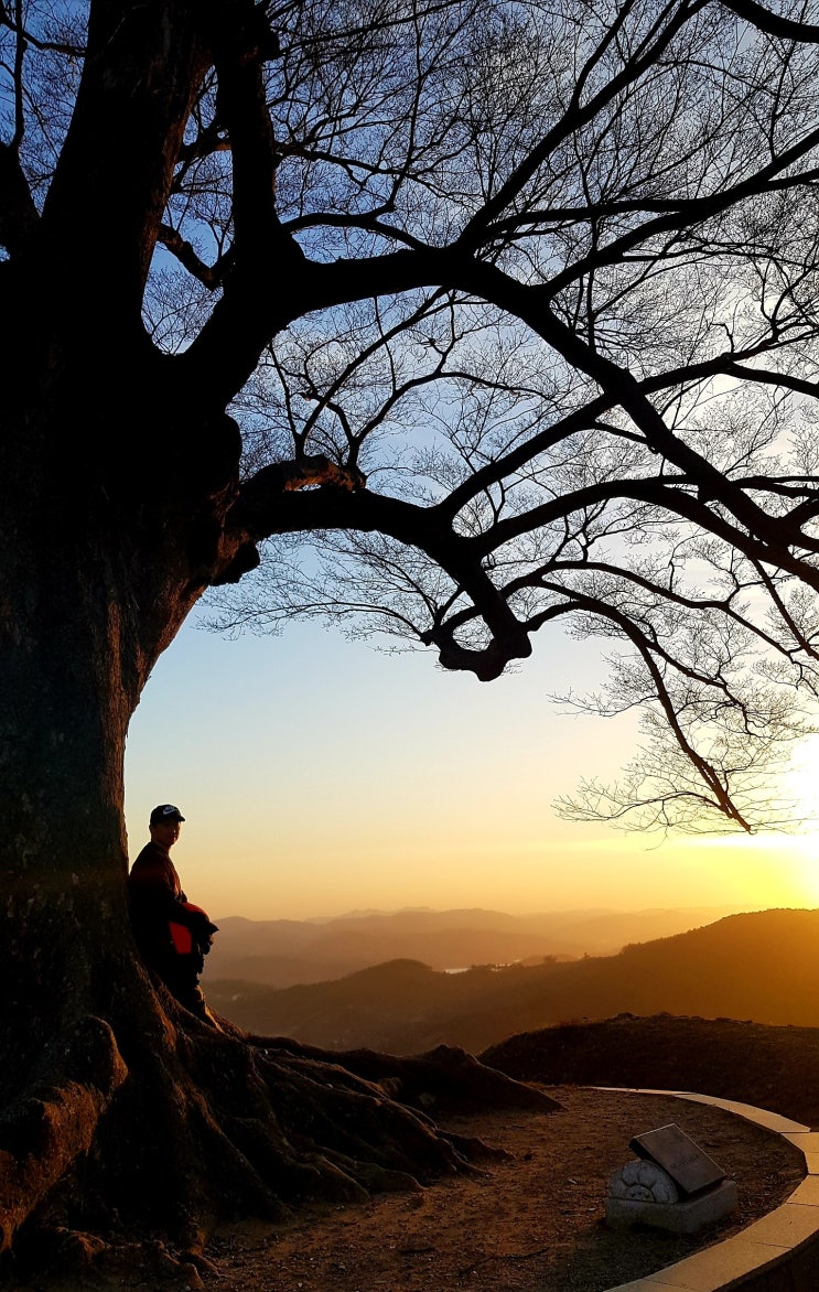  0430 한진칼,티케이케미칼,(아시아나항공),(전파기지국), "몇프로의 수익인가는 중요하지않다. 시세가 날때 매도했다는것에 의미를두자"
