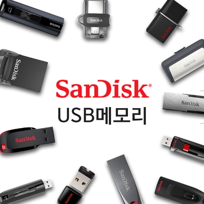  [한정특가] [무료배송] 샌디스크 외 인기 USB OTG 2.0 3.1 메모리 총집합