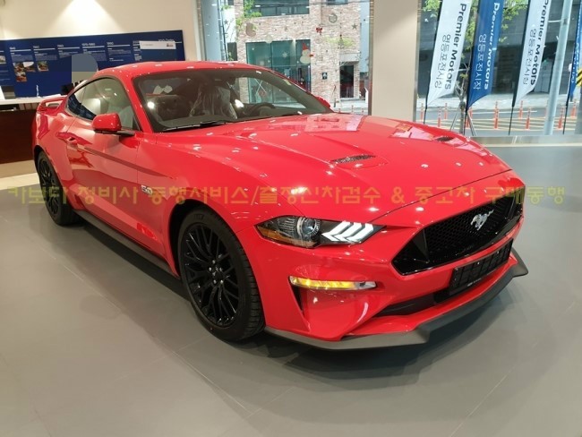  카보다-2019 포드 머스탱 GT 5.0 쿠페 포드매장 정비사 출장신차검수 후기