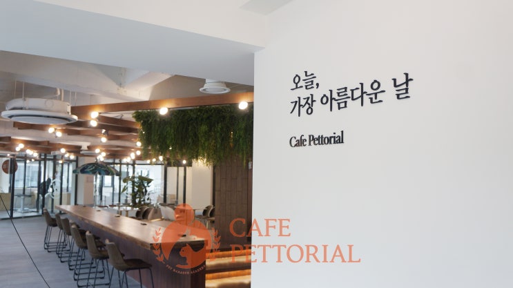  청계천 카페ː카페 펫토리얼에 어서 오세요!