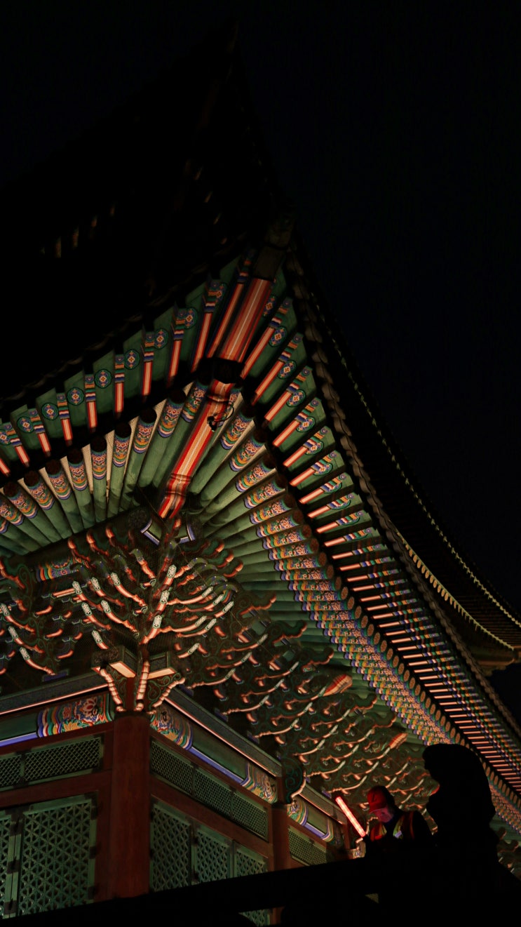  경복궁 야간개장 출사