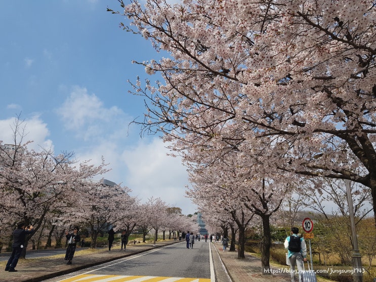  [ 천안 신부동 북일고등학교 ] 천안 가볼만한 곳