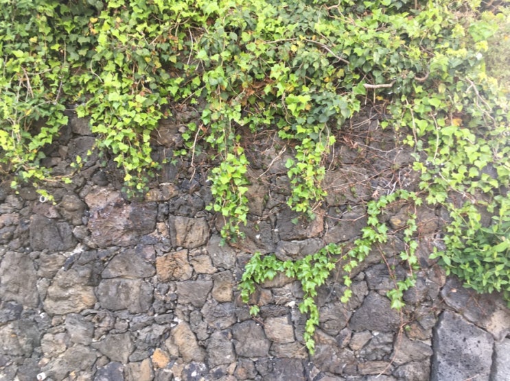  오전수련. 공부하는 분위기. 190501.