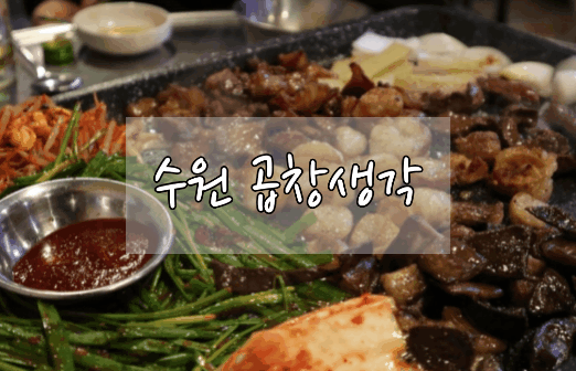  수원 성대 맛집 _  [곱창생각] 대창,홍창,도래창구이 후기! 성균관대역 맛집 율전동 곱창 맛집