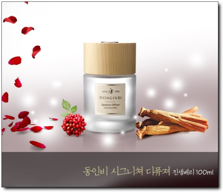 차량용방향제 기능성디퓨져 판촉사은품 홍보에너지 최고